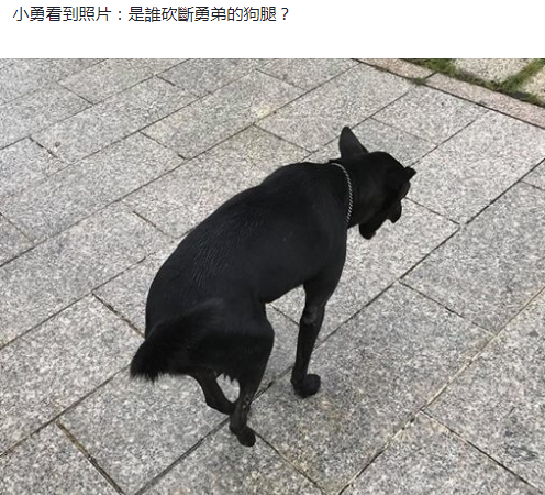 ⭐批量出售高质量的
苹果一手号
批发出售